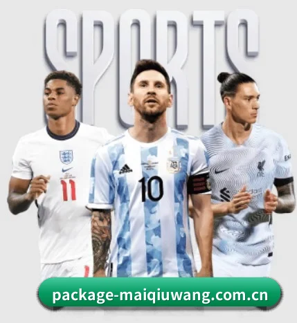 买球网 APP 界面 | maiqiuweb